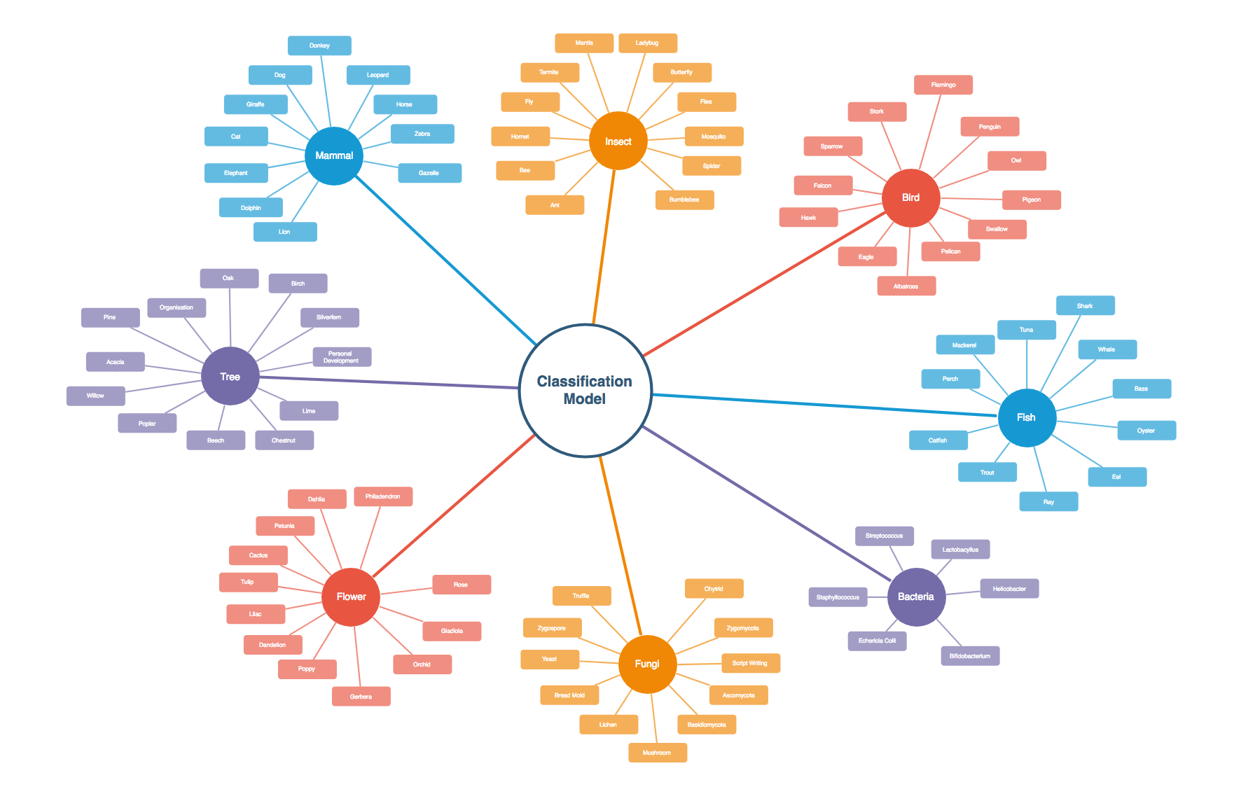 Classification Model