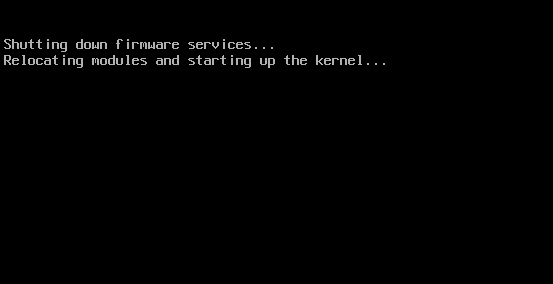 ESXi Not Booting